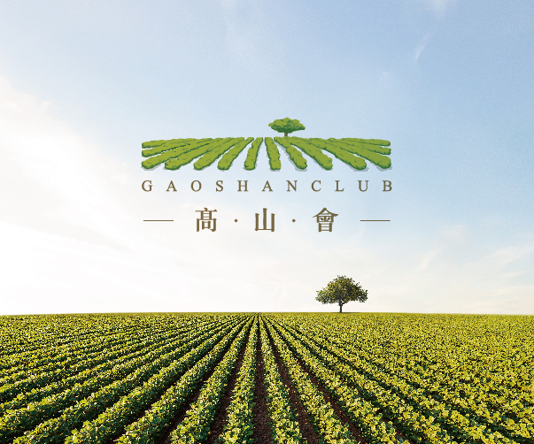 上海vi設計如何在企業品牌危機公關中發揮作用？